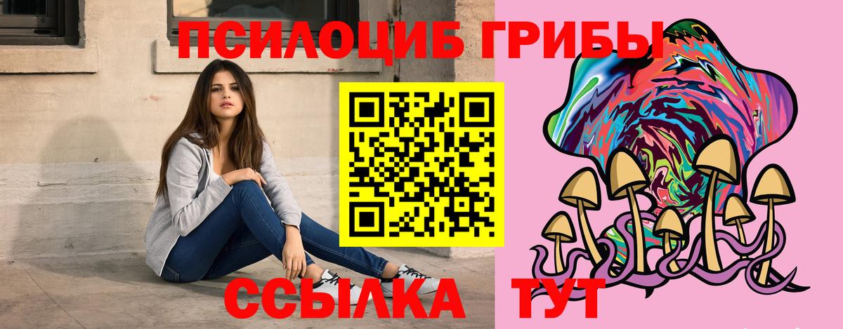 Галлюциногенные грибы Psilocybine cubensis Казань